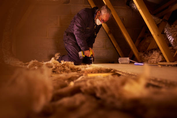 Types of Insulation We Offer in Peosta, IA